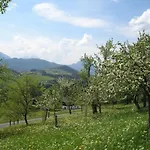 Haus Oberhaslach 公寓 *