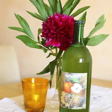 Haus Oberhaslach Apartamento Abtenau