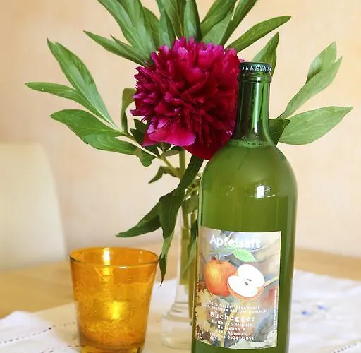 Haus Oberhaslach 公寓 阿布特瑙