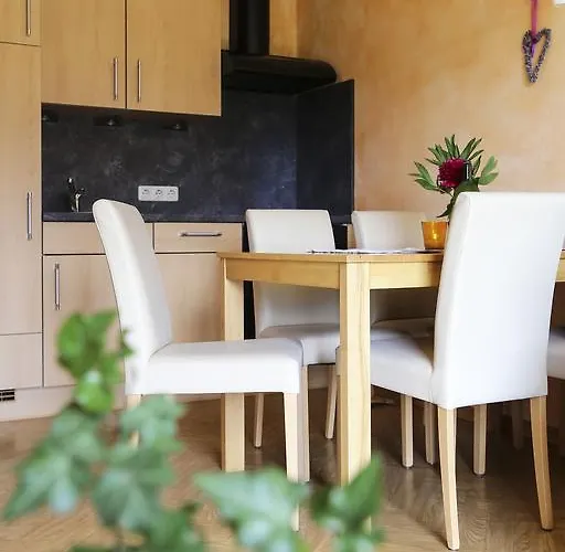 公寓 Haus Oberhaslach *